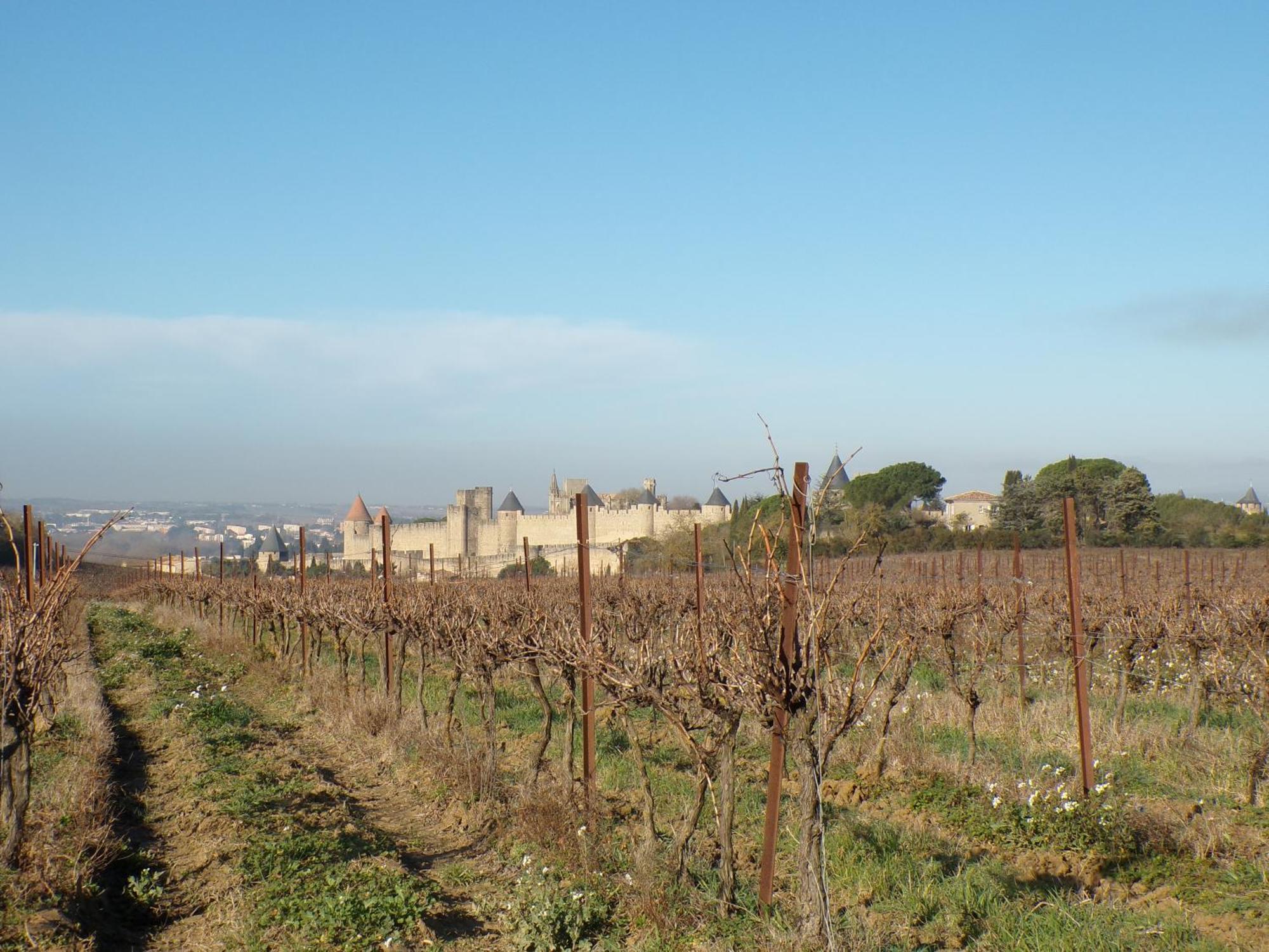 D'hotes & Le Relais De La Cavayere *